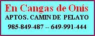 Apartamentos Camin de Pelayo