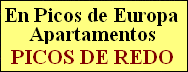 Apartamentos Picos de Redo Apartamentos Picos de Redo