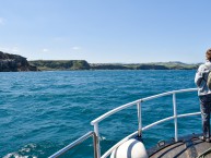 ACTITUR SUANCES PASEOS EN BARCO EN CANTABRIA (Suances - Cantabria) - Foto 4