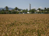 LO SEGADOR (Delta del Ebro - Tarragona) - Foto 1