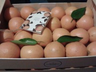 LOVE NARANJAS (Naranjas y Mandarinas de Valencia) - Foto 2