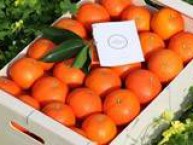 LOVE NARANJAS (Naranjas y Mandarinas de Valencia) - Foto 4