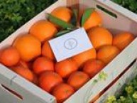 LOVE NARANJAS (Naranjas y Mandarinas de Valencia) - Foto 5