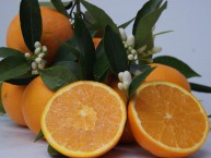 NARANJAS SENENT NARANJAS ON LINE (Rafelbunyol - Valencia) - Foto 1
