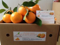 NARANJAS SENENT NARANJAS ON LINE (Rafelbunyol - Valencia) - Foto 3