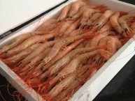 EL RINCN DE HUELVA TIENDA ONLINE (Huelva) - Foto 1