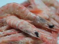 EL RINCN DE HUELVA TIENDA ONLINE (Huelva) - Foto 3