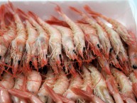 EL RINCN DE HUELVA TIENDA ONLINE (Huelva) - Foto 4