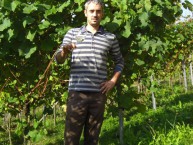TXAKOLI GARATE -Txakoli D.O. Araba- - Foto 3