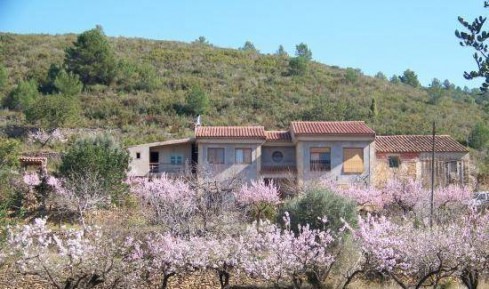 CASA RURAL BARRANC DEL MINYÓ (Vall D´Alba - Castellón) - Foto 1