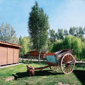 C.T.R. EL SOTILLO (San Esteban de Gormaz - Soria) - Foto 1